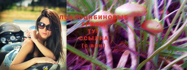 шишки Кинешма