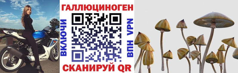 Галлюциногенные грибы ЛСД  сколько стоит  Рубцовск 